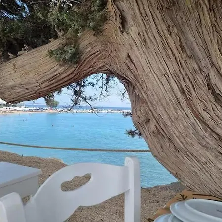 View * Ambelas