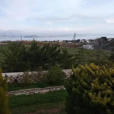 View * Ambelas